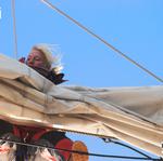 Segelsport